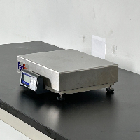 Mettler Toledo PS60 Digital Scale image 1